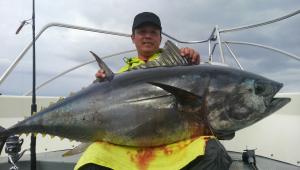 マグロ速報！