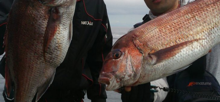 鯛釣り