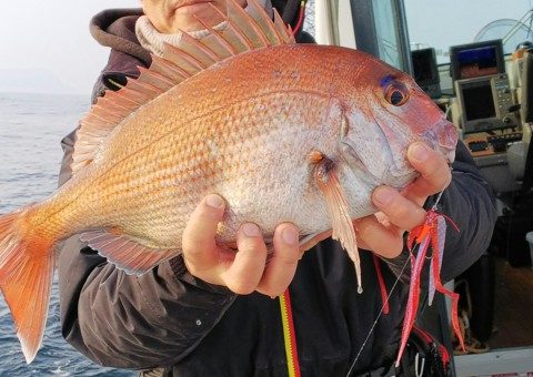 昨日の釣果